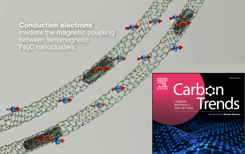 Magnetic coupling of nanoclusters inside DWCNTs picture